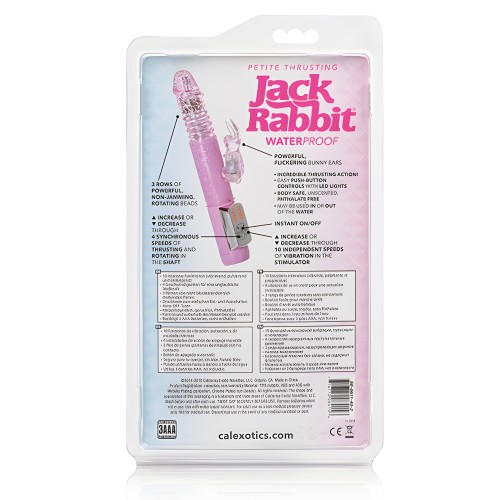 Jack Rabbit Petite Thrusting Rosa