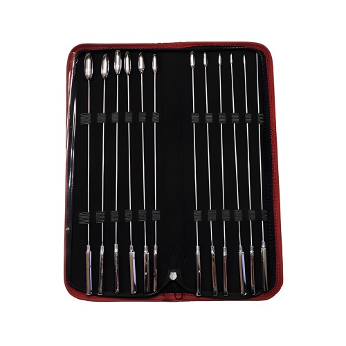 Set de Dilatadores de Acero Inoxidable Rouge Rosebud - 12 Piezas