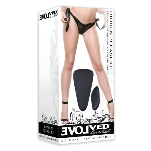 Evolved Hidden Pleasure Panty Vibe - Negro