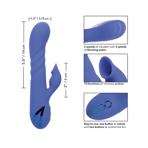 California Dreaming L.A. Love