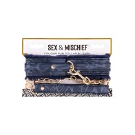 Collar y Correa de Piel de Cougar