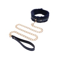 Collar y Correa de Piel de Cougar