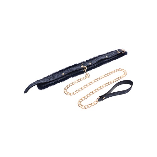 Collar y Correa de Piel de Cougar