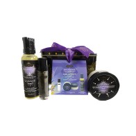 Kama Sutra Sex Magnet Gift Set