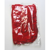 Dragon Sheer Mesh Robe Set - Red 1X/2X