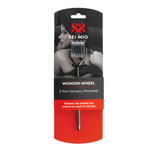 Sei Mio Wonder Wheel Sensorial Pinwheel