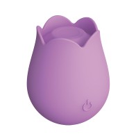 Cosmopolitan X plusOne Vibe - Rose