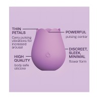 Cosmopolitan X plusOne Vibe - Rose