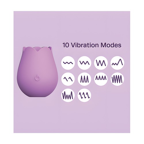 Cosmopolitan X plusOne Vibe - Rose