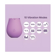 Cosmopolitan X plusOne Vibe - Rose