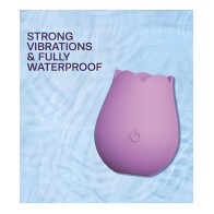 Cosmopolitan X plusOne Vibe - Rose