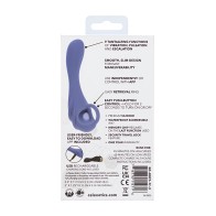 Calexotics Connect Explorer