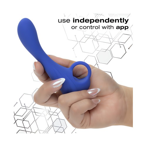 Explorador Connect de Calexotics